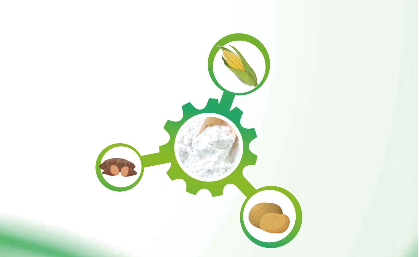 玉米及淀粉深加工展